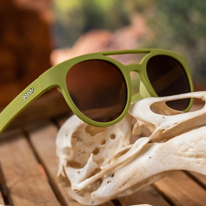 SALE: Fossil Finding Focals